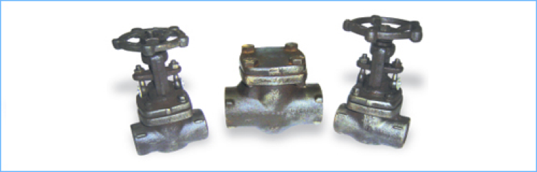 Forged Steel Valve